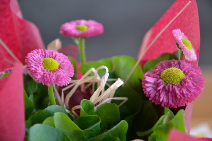 Frühlingsfest LJ Ybbs- St. Martin