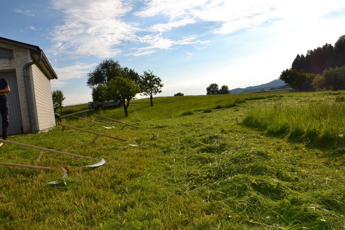 Sprengelentscheid Sensenmähen LJ Ybbs - St. Martin