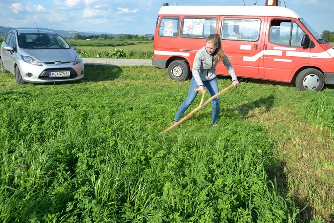 Bezirksentscheid Sensenmähen